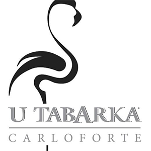 logo_tanca_gioia_ok_sq